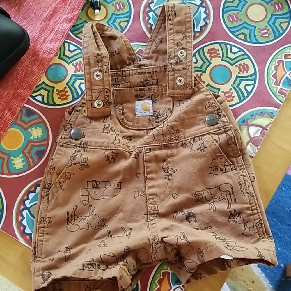 Carhartt overalls (3 months)